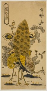 Malvarrosas y pavos reales (Aoi ni kujaku) de Nishimura Shigenobu