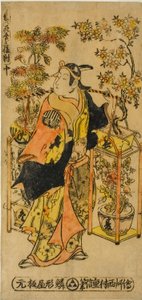 Vendedor ambulante de flores de las cuatro estaciones - Juego de tres (Shiki no hanauri sanpukutsui)