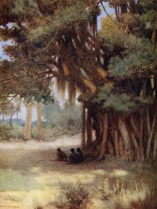 Bajo un árbol de banyán, Isla Malekula, Nuevas Hébridas
