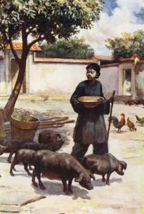 China: Un patio de Norman Hardy