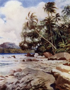 El Arrecife cerca de Simbo, Islas Salomón de Norman Hardy