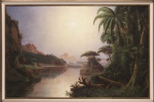 Paisaje tropical