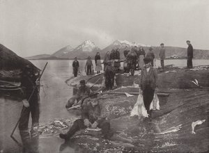 Lavando pescado klip de Norwegian Photographer