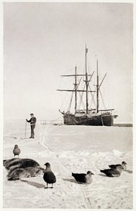El "Fram" en la Bahía de las Ballenas, de "El Polo Sur: Relato de la expedición antártica noruega en el Fram de Norwegian School