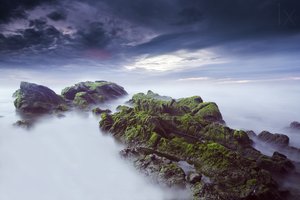 Paisaje marino etéreo y cubierto de musgo