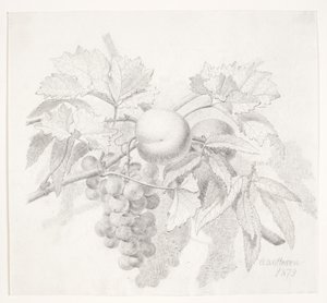 Uvas y melocotones de O.D. Ottesen