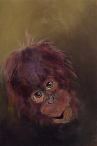 Bebé orangután 2, 2010 (acrílico sobre madera) de Odile Kidd