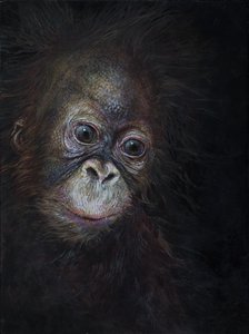 Bebé orangután 3, 2015 (acrílico sobre madera)