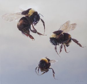 Bombus vuelo 1, 2011 (acrílico sobre madera) de Odile Kidd