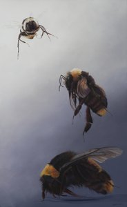 Bombus flight 2, 2011 (acrílico sobre madera) de Odile Kidd