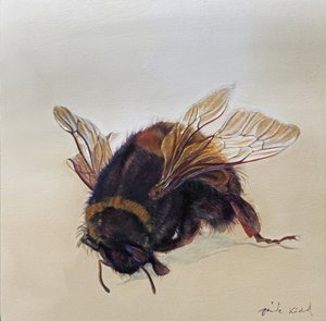 Bombus terrestris 10, 2013 (acrílico sobre madera)