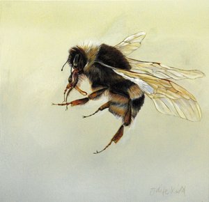Bombus terrestris 4, 2011 (acrílico sobre madera) de Odile Kidd