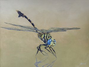 Mosca de dragón, 2009 (acrílico sobre madera)