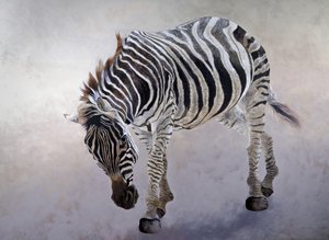 Equus burchelli 2, 2010 (acrílico sobre lienzo) de Odile Kidd