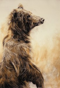 Grizzly Bear 2, 2002 (lápiz carbón, carboncillo y tiza) de Odile Kidd