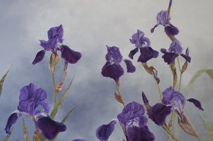 Iris hybrida (detalle), 2015 (acrílico sobre madera gessoed)