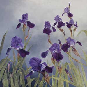 Iris hybrida, 2015 (acrílico sobre madera gessoed) de Odile Kidd