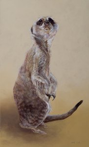 Suricata 2, 2010 (acrílico sobre madera)
