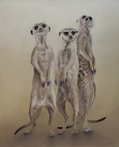 Suricatas, 2014 (acrílico sobre madera gessoed)