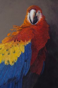 Guacamaya roja 3 (detalle), 2014 (acrílico sobre lino) de Odile Kidd