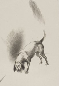 Él [el perro del narrador] mantenía sus ojos fijos en mí con una mirada tan extraña, lámina 3 de 6 de Odilon Redon