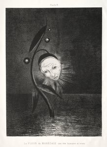 Homenaje a Goya: La flor del pantano, una cabeza humana triste, 1885 de Odilon Redon