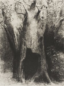 Me sumergí en la soledad. Viví en el árbol detrás de mí, lámina 9 de 24 de Odilon Redon