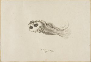 Menú de una Cena para Litógrafos Franceses, 1 de Abril de 1887 de Odilon Redon
