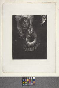 Oannes: "Yo, la primera conciencia del caos...". (litografía sobre papel chine appliqué) de Odilon Redon