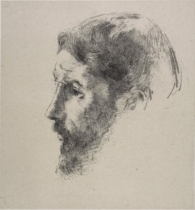 Pierre Bonnard de Odilon Redon