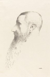 Roger Marx de Odilon Redon