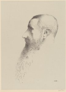 Roger Marx de Odilon Redon
