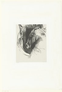 rosa de batalla Le Courcier (título sobre objeto) de Odilon Redon
