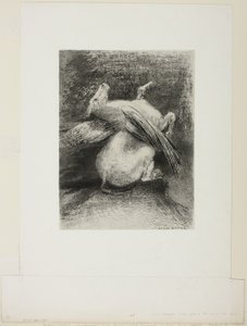 El ala impotente no levantó al animal en ese espacio negro, lámina 7 de 8 de "Les Origines" de Odilon Redon