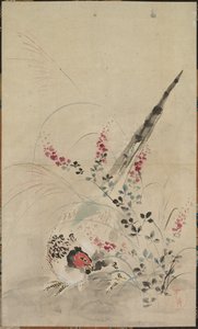 Faisán y hierbas, finales del siglo XVII-principios del siglo XVIII de Ogata Korin
