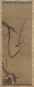 Prunus, pergamino colgante, c.1700 de Ogata Korin