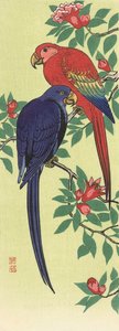 Un loro rojo y otro azul, del artista japonés Ohara Koson de Ohara Koson