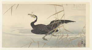 Cormorán con pescado de Ohara Koson