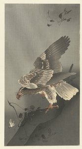 Águila al acecho de presa de Ohara Koson