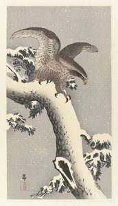 Águila en pino nevado de Ohara Koson