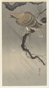 águila en rama de Ohara Koson