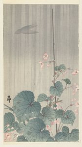 Begonias bajo la lluvia de Ohara Koson