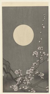 Flor de ciruelo floreciente en luna llena de Ohara Koson