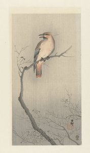 Avefría de Bohemia en una rama de Ohara Koson