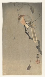 Alcaudón cabeza de búfalo y araña de Ohara Koson