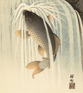 Carpa bajo una cascada, del artista japonés Ohara Koson de Ohara Koson