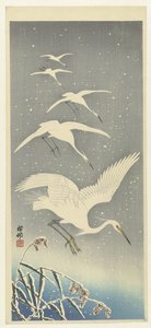Garzas descendentes en la nieve