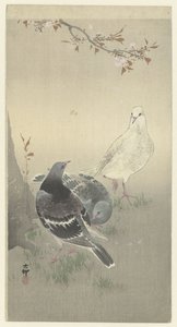 Tres palomas domesticadas de Ohara Koson