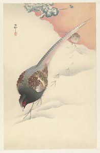 Pareja de faisanes en la nieve.