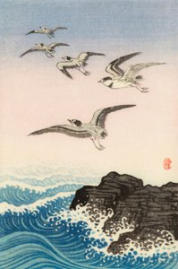 Cinco gaviotas sobre una roca en el mar, siglo XX (grabado japonés) de Ohara Koson